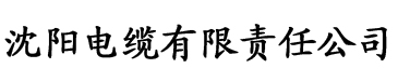 迅雷哥网站电缆厂logo